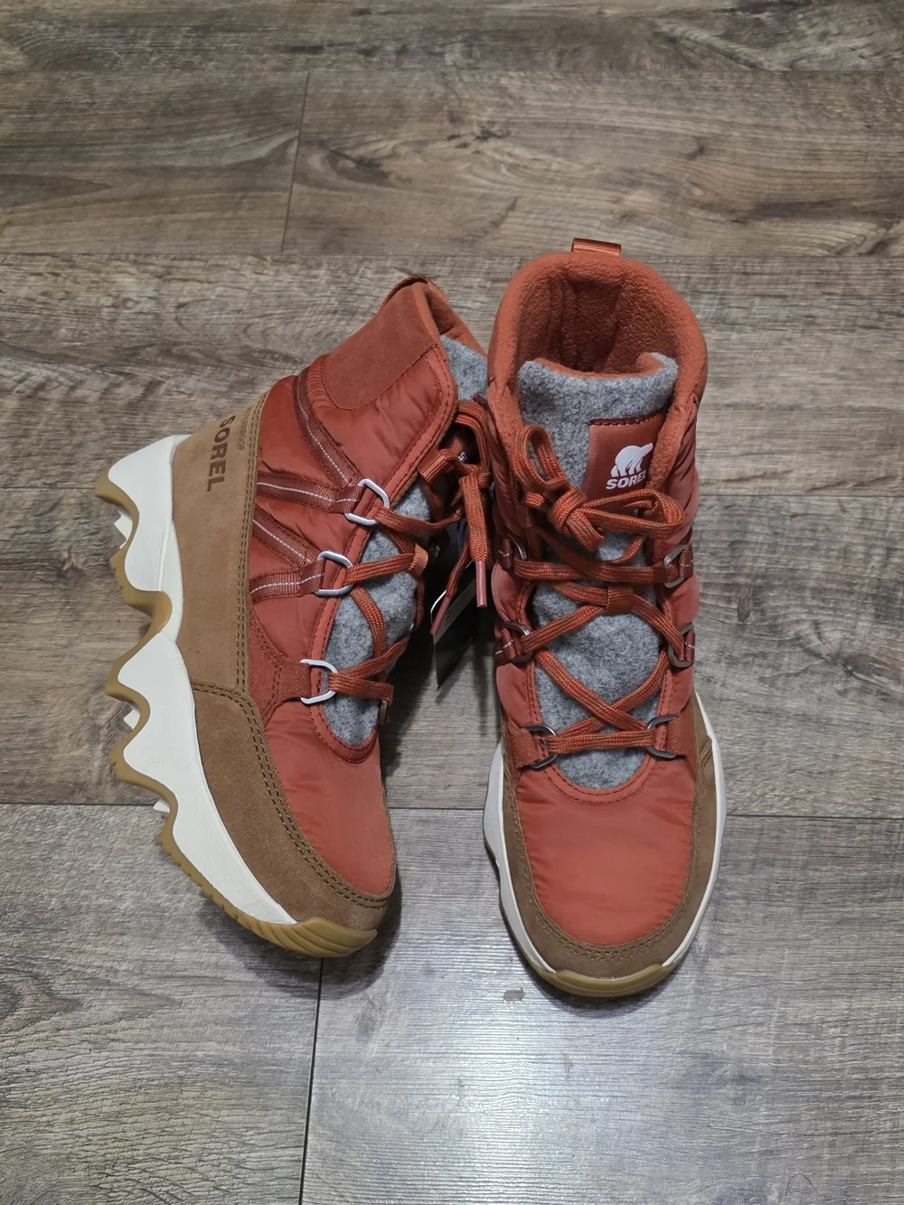Sorel new kinetic